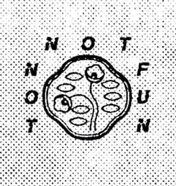 Not Not Fun Records