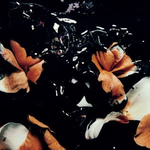 {`${release.releasename}`}