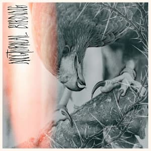 {`${release.releasename}`}