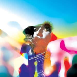 {`${release.releasename}`}