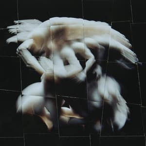 {`${release.releasename}`}