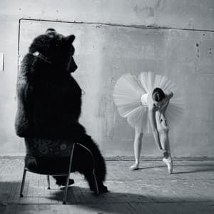 {`${release.releasename}`}