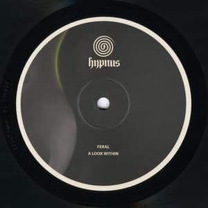 {`${release.releasename}`}