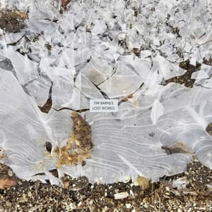 {`${release.releasename}`}