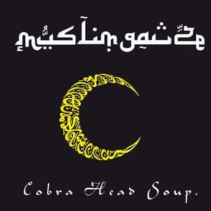 {`${release.releasename}`}