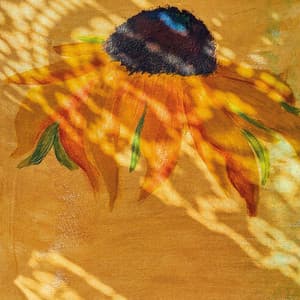 {`${release.releasename}`}