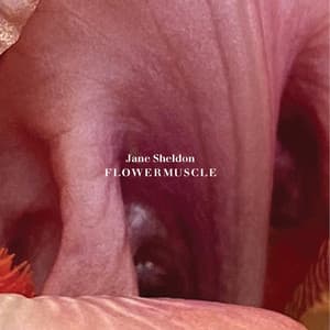 {`${release.releasename}`}