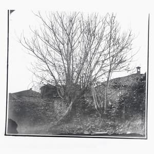 {`${release.releasename}`}