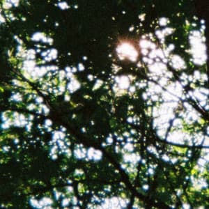 {`${release.releasename}`}