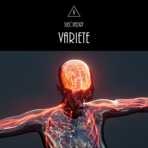 {`${release.releasename}`}