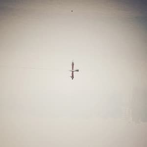 {`${release.releasename}`}