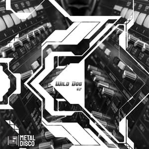 {`${release.releasename}`}