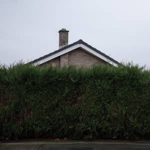 {`${release.releasename}`}